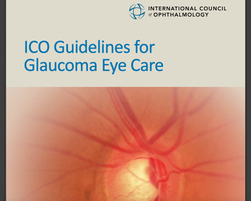 International Council of Ophthalmology(ICO)